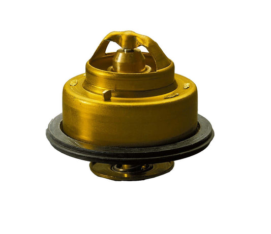 PACKNING T 14363 TERMOSTAT